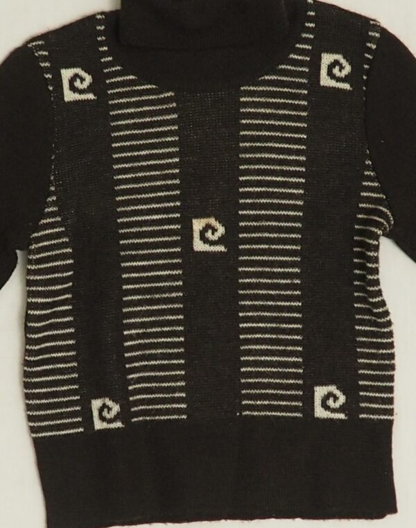 Pull à col roulé Pierre Cardin