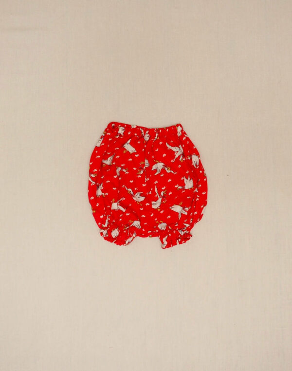 Robe et bloomer oies