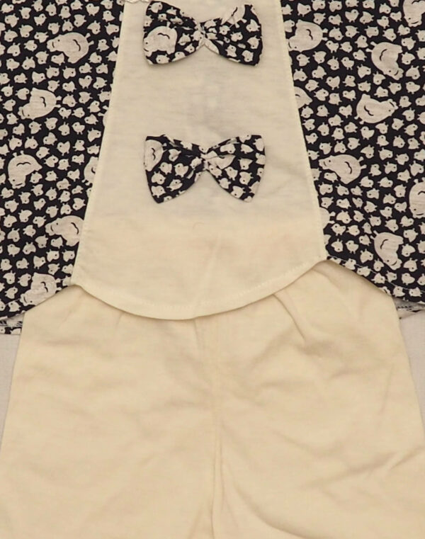 Small hen set