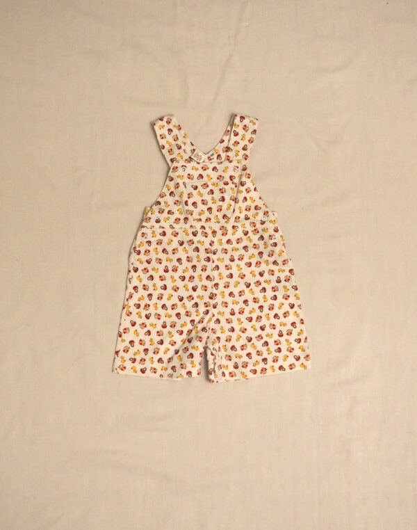 Dungarees for chicks & hens