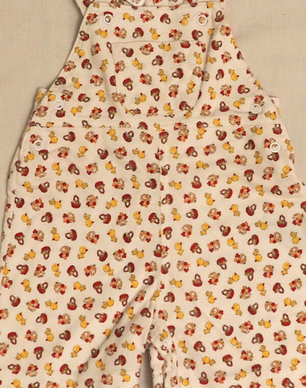 Dungarees for chicks & hens