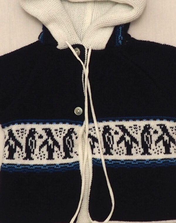 Penguin hoodie