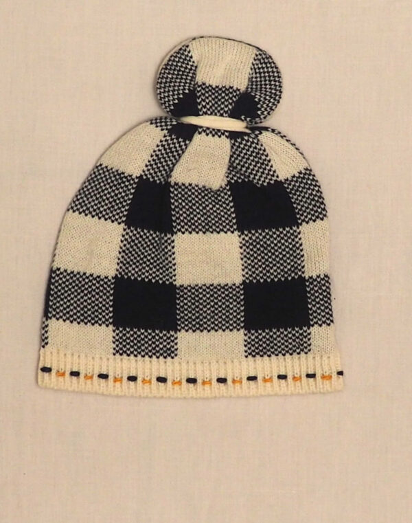 Blue plaid hat