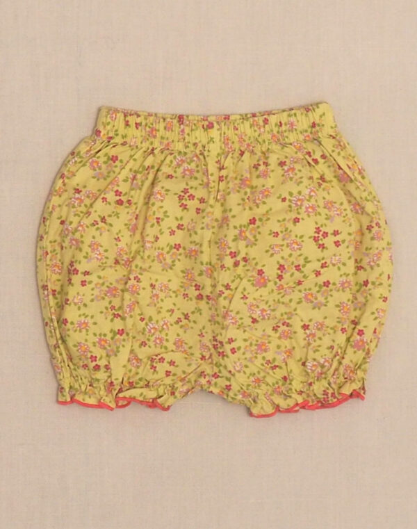 Bloomer fleuri