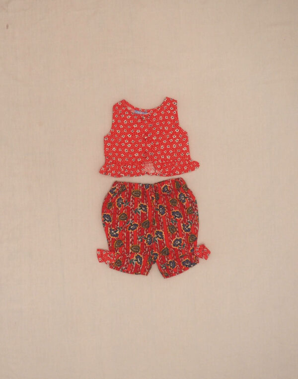 Ensemble provencal