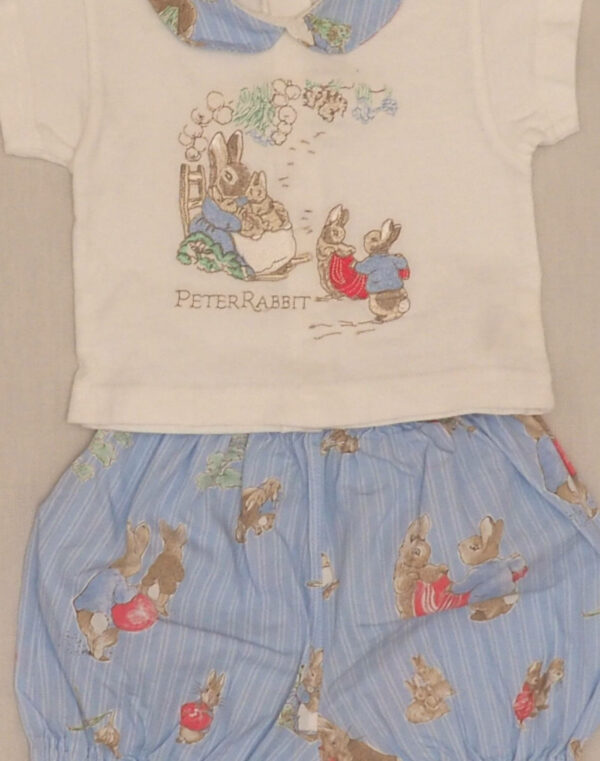 Ensemble Peter Rabbit