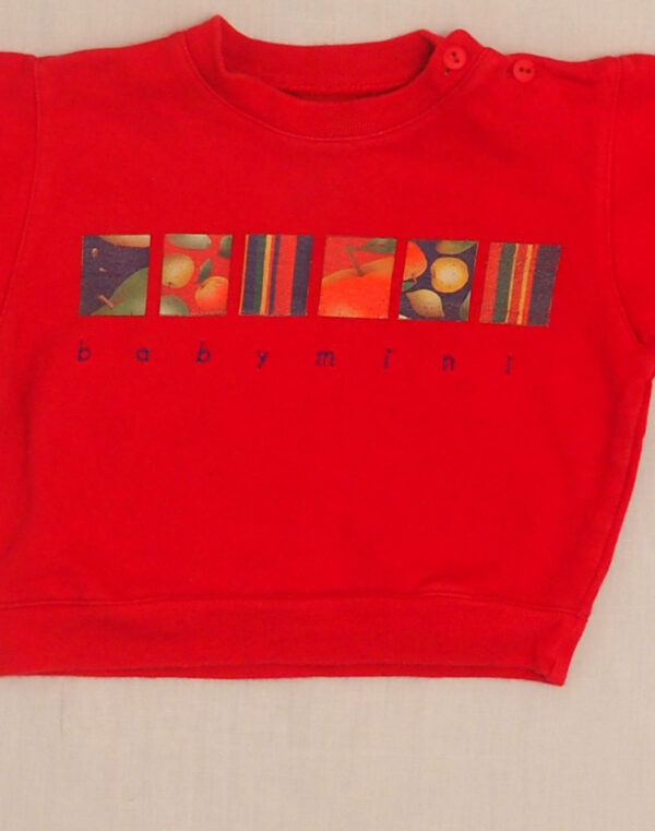 Sweatshirt pomme
