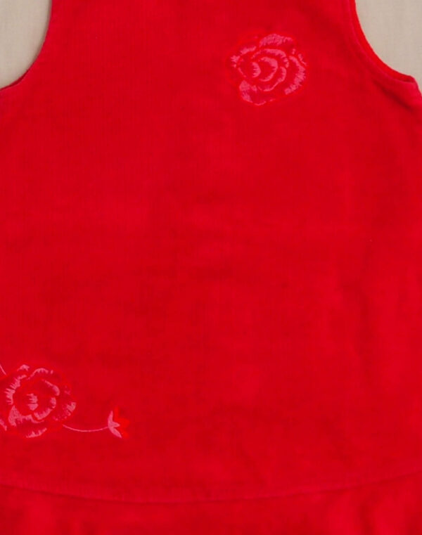 Embroidered velvet dress