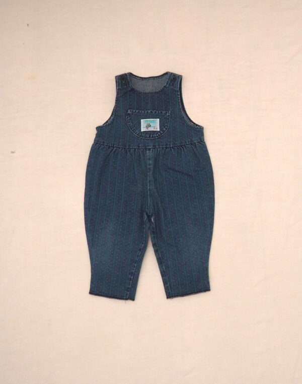 Striped denim overalls