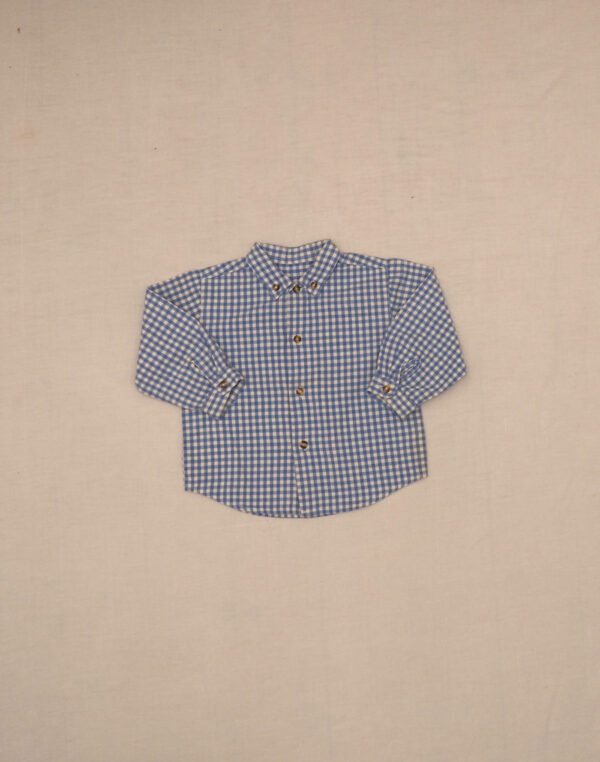 Blue gingham shirt