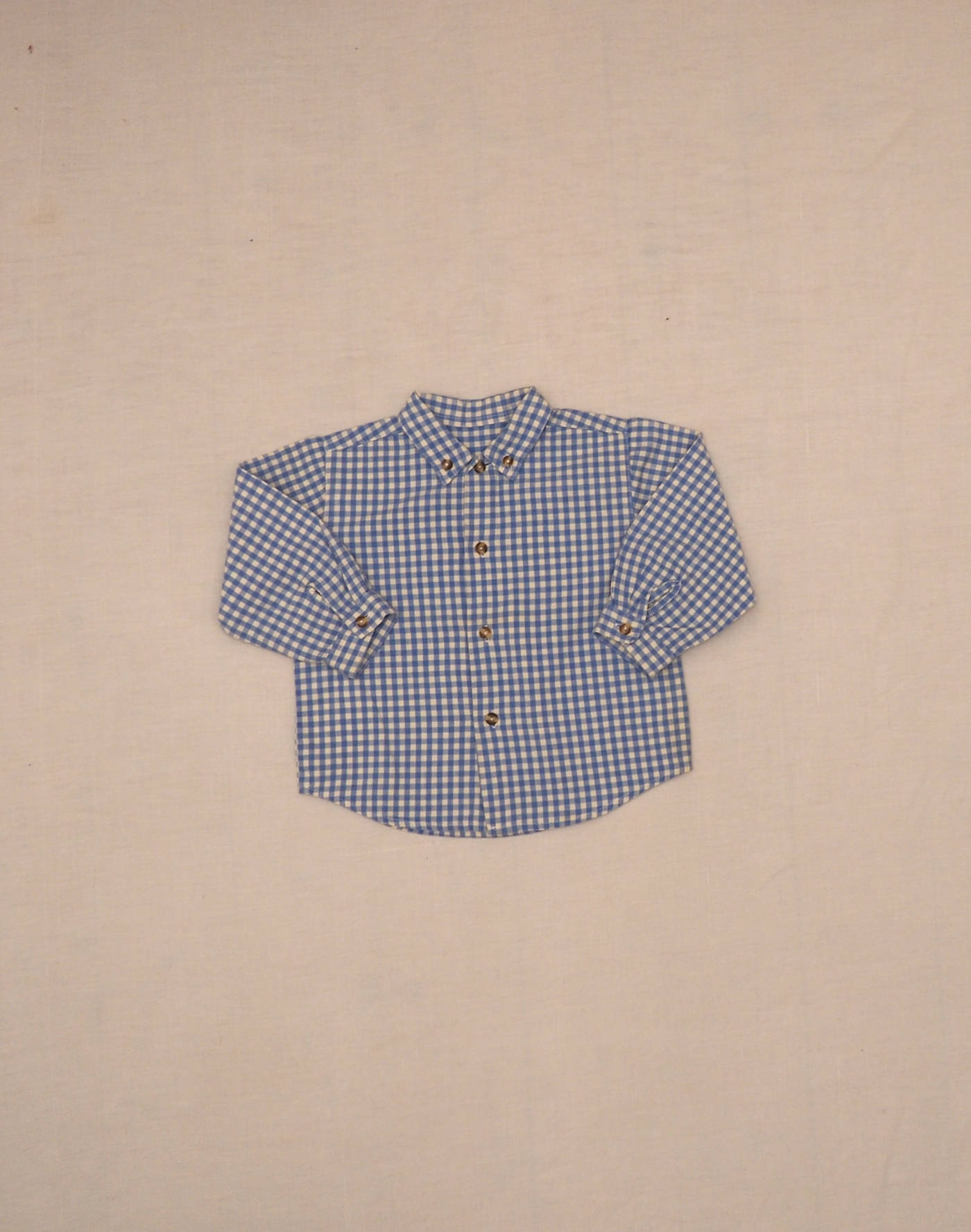 Blue gingham shirt