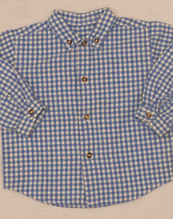 Blue gingham shirt