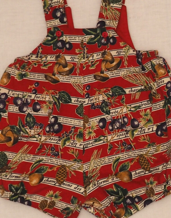 Autumn lined short overalls