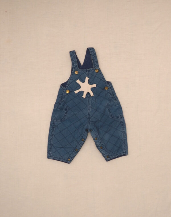 Star quilted overalls