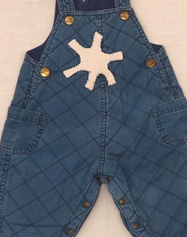 Star quilted overalls
