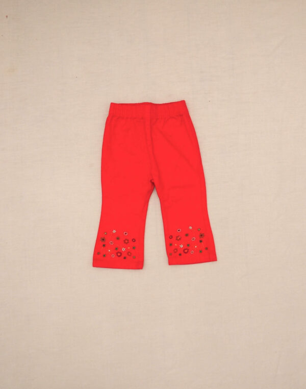 Pants with embroidered legs