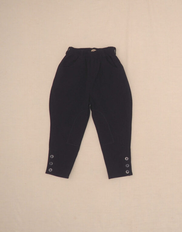 Navy spindle pants