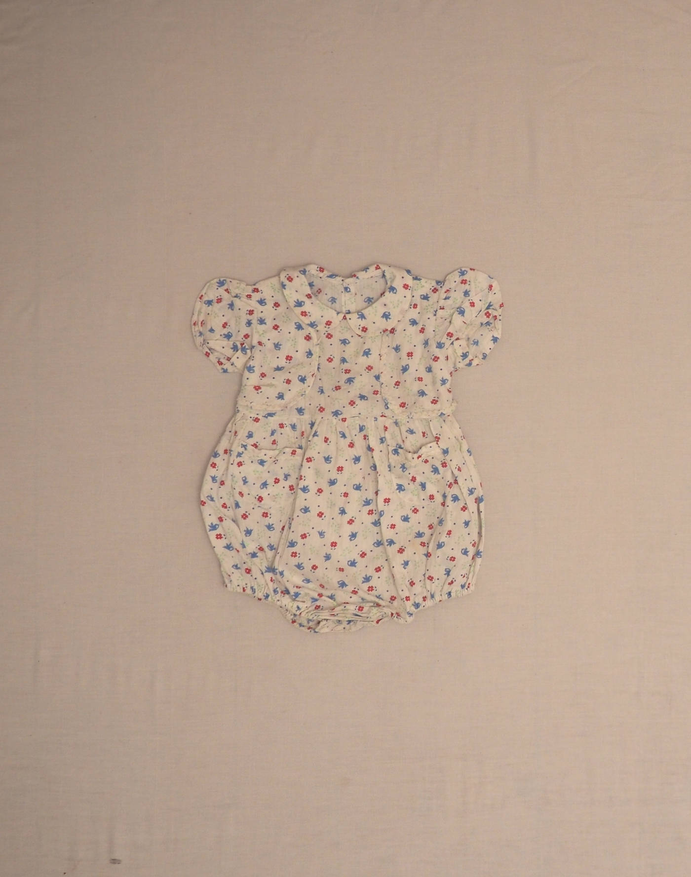 Barboteuse oiseaux 1950