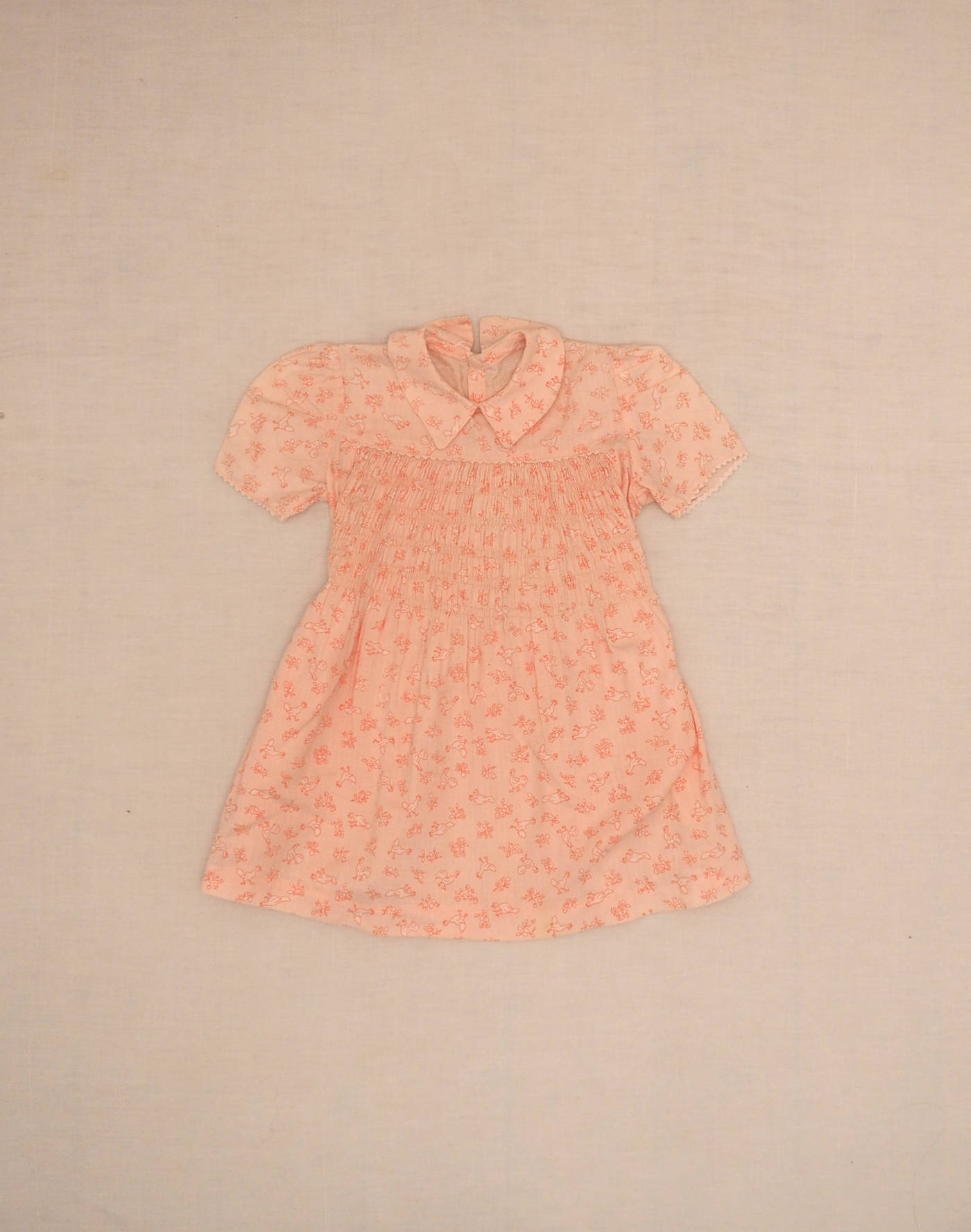 Robe petites poules 1950