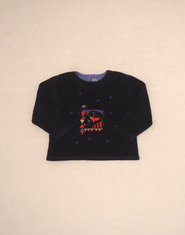 Embroidered velvet sweatshirt