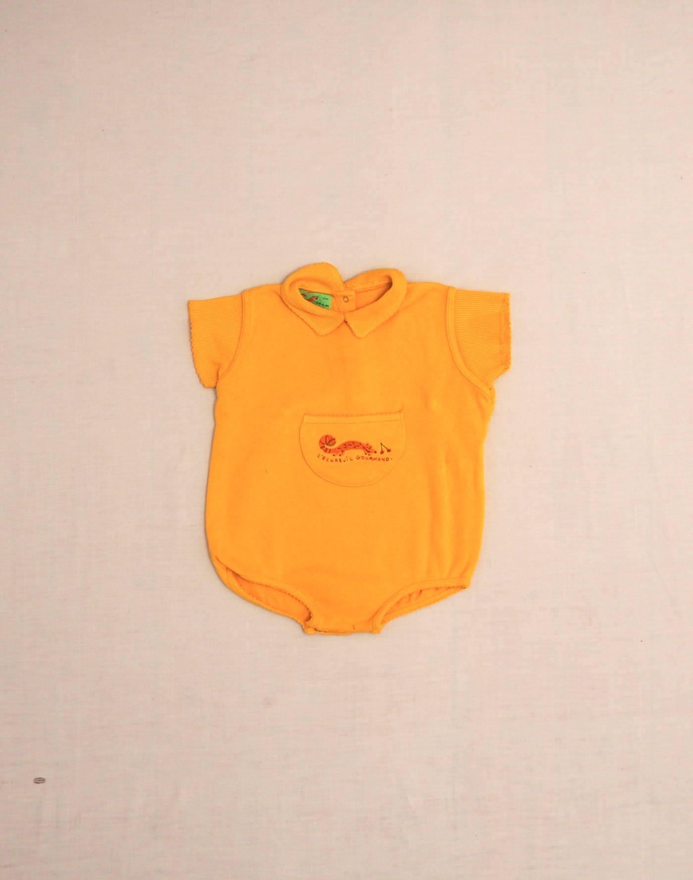 Barboteuse écureuil gourmand