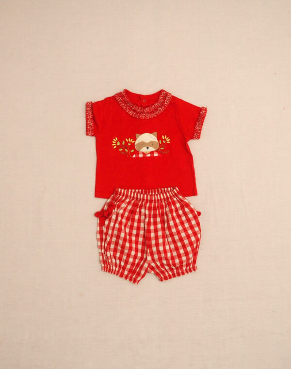 Ensemble vichy raton laveur