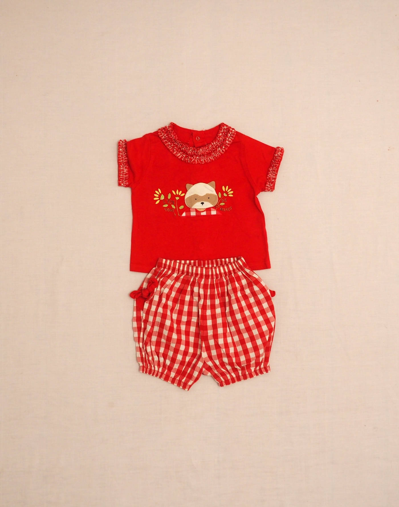 Ensemble vichy raton laveur