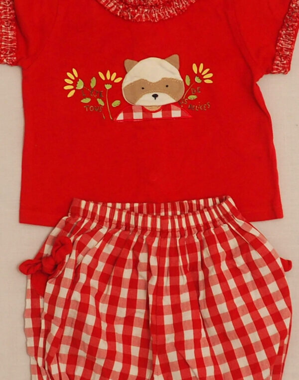 Ensemble vichy raton laveur