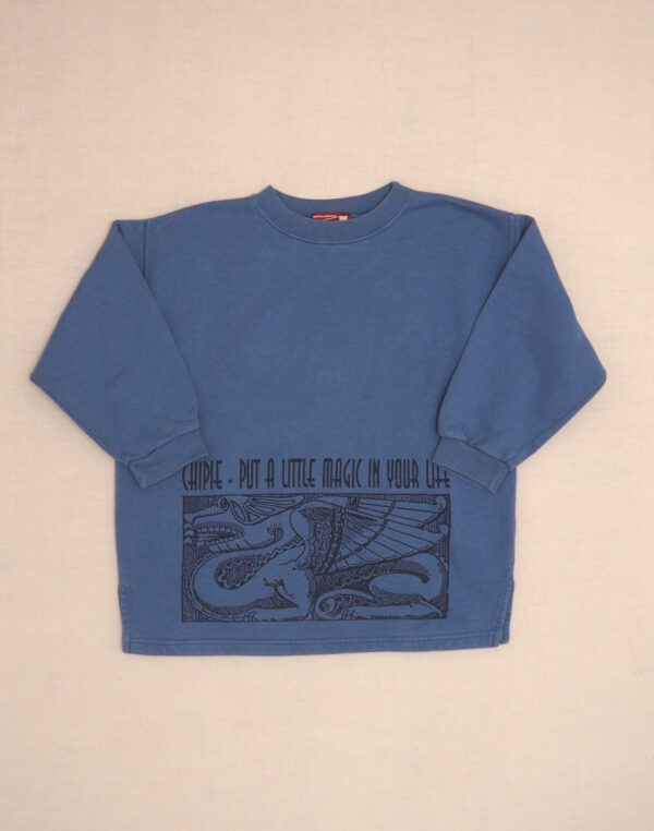Sweatshirt dragon 8 years