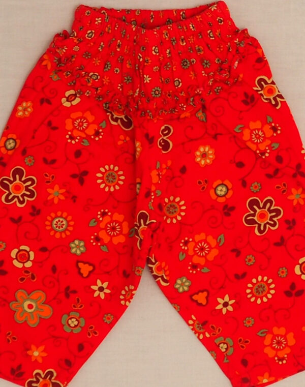Lined floral pants