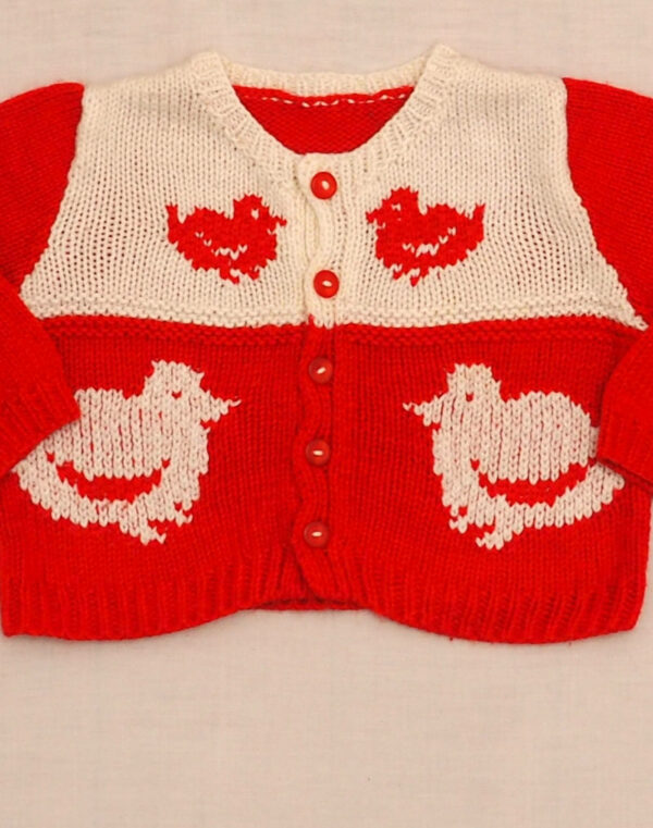 Cardigan oiseaux tricoté main
