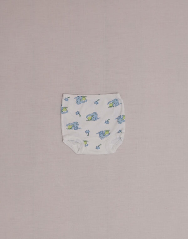 Slip dinosaure Petit Bateau