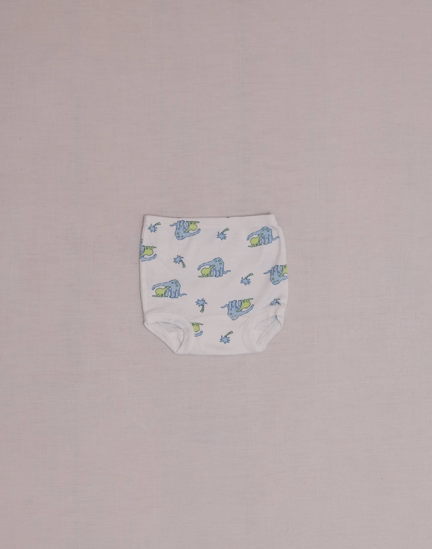 Slip dinosaure Petit Bateau