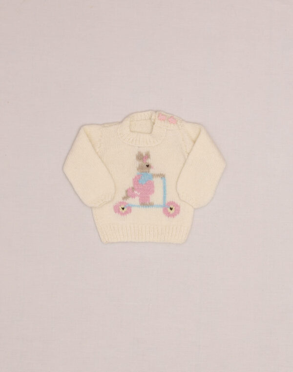 Handmade Rabbit Scooter Sweater