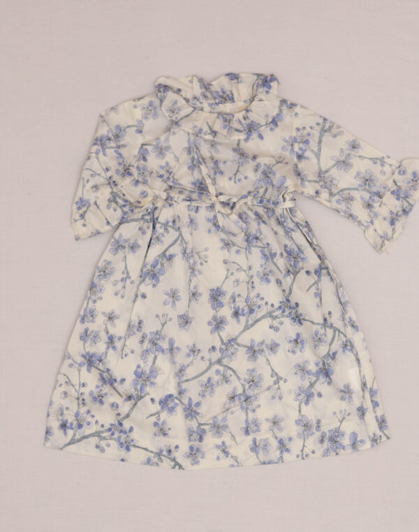 Baghère Cherry Blossom Liberty Print Dress with Wide Collar