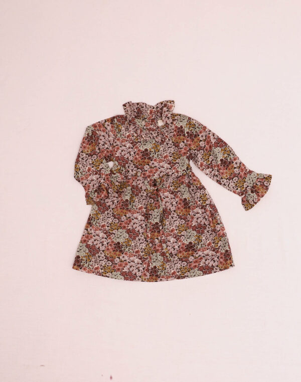 Robe grand col Liberty prune Baghère
