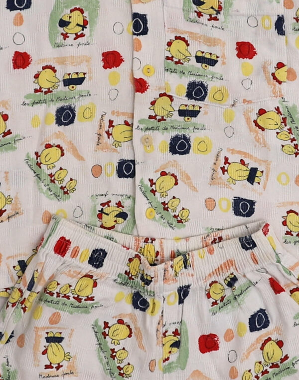 Chickens & Chicks Set