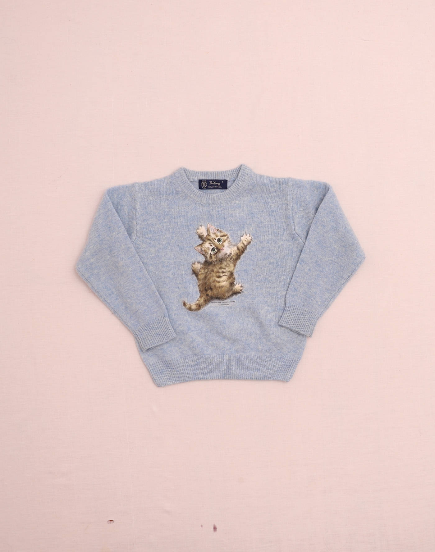 Pull bleu laine d'agneau chaton